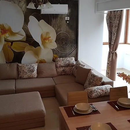 Orchid By The Sea Mamaia Nord * 那沃达利