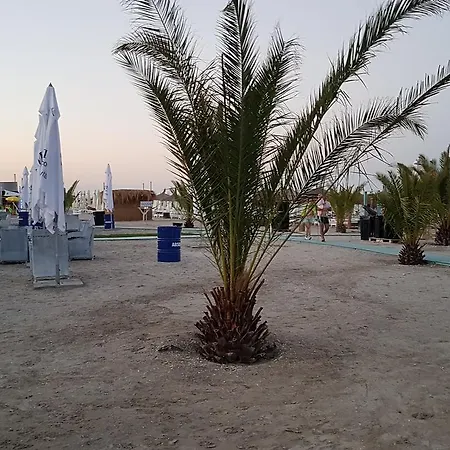 דירה Orchid By The Sea Mamaia Nord